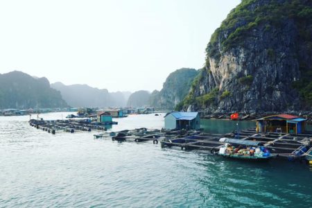 fishing village in Halong bay 